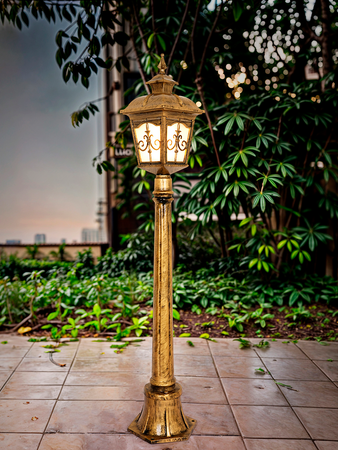 DG85-Antique-S-40-PO1 (32)2.jpg