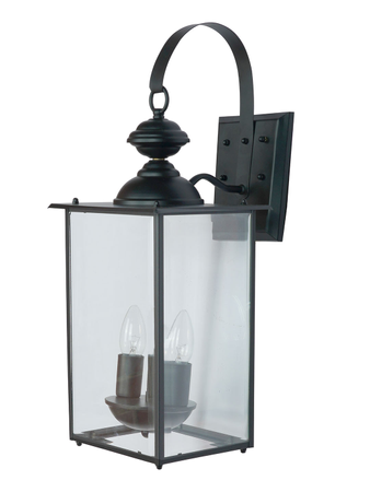 Transitional Black 2-Lights Glass Outdoor Hanging Wall Lamp