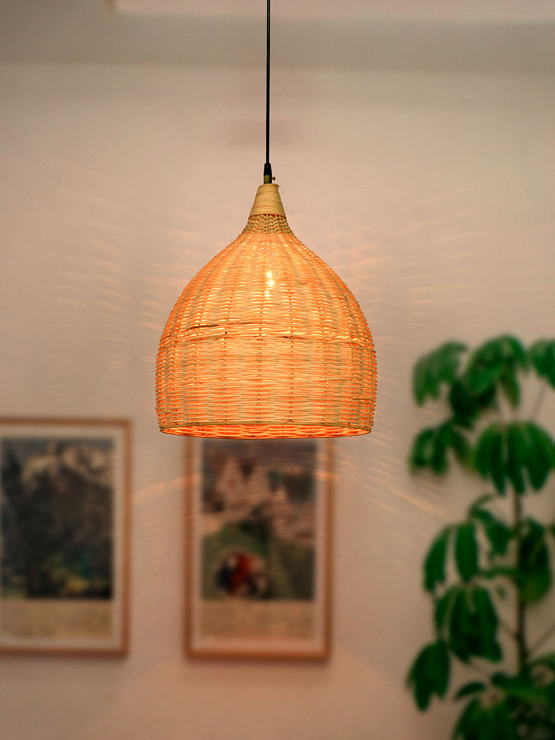 Handcrafted Handmade Eco Friendly Cane Rattan Wicker Hanging Cane Ceiling Pendant Light Shade buying Varnish Brown Set of 02