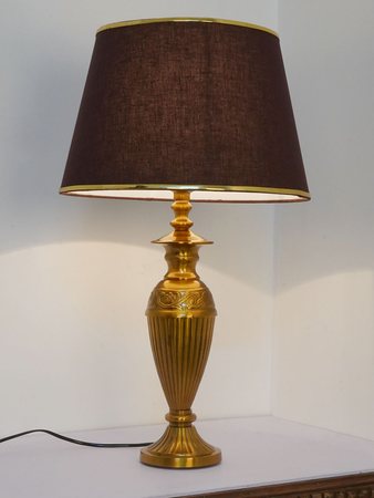 2603Trophy-AL-GOLA-BrassRimBrown14-TL1 (05.jpg