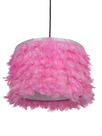 Feather-Pink-Drum-12x9-HL1 (02).jpg