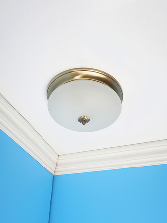 Simple Elegant Frosted Glass and Brass 10 Inches Flush Mount Ceiling Lamp